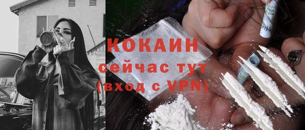 шишки Володарск