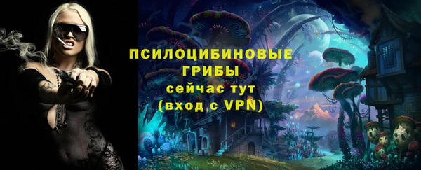 стаф Горно-Алтайск
