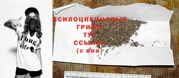 MDMA Горнозаводск