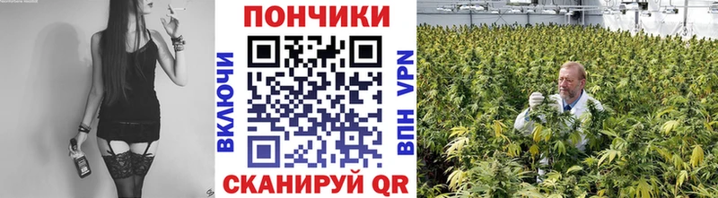Шишки марихуана план Далматово